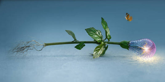 renewable energy and nature